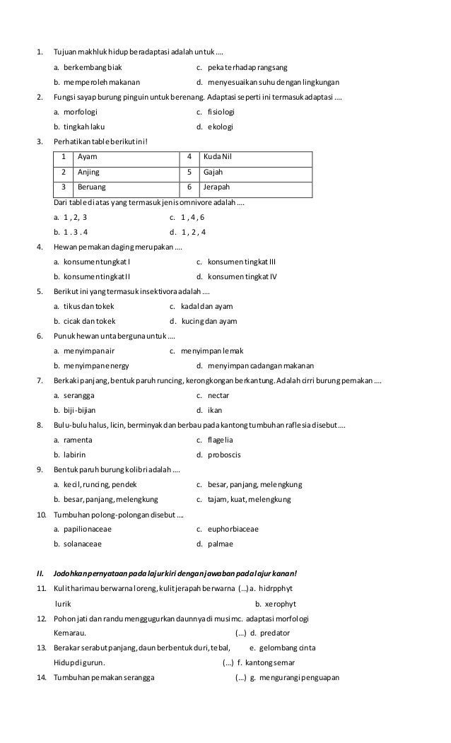 download bunyi bel sekolah 3 bahasa download bunyi bel sekolah 3 bahasa