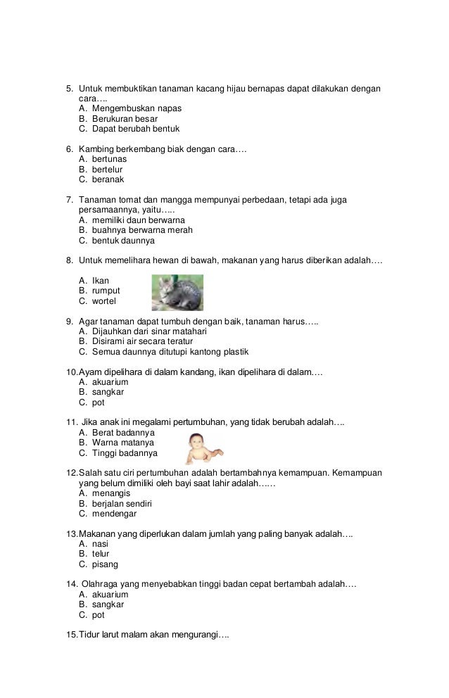 Soal uts ipa kelas 3 semester 1