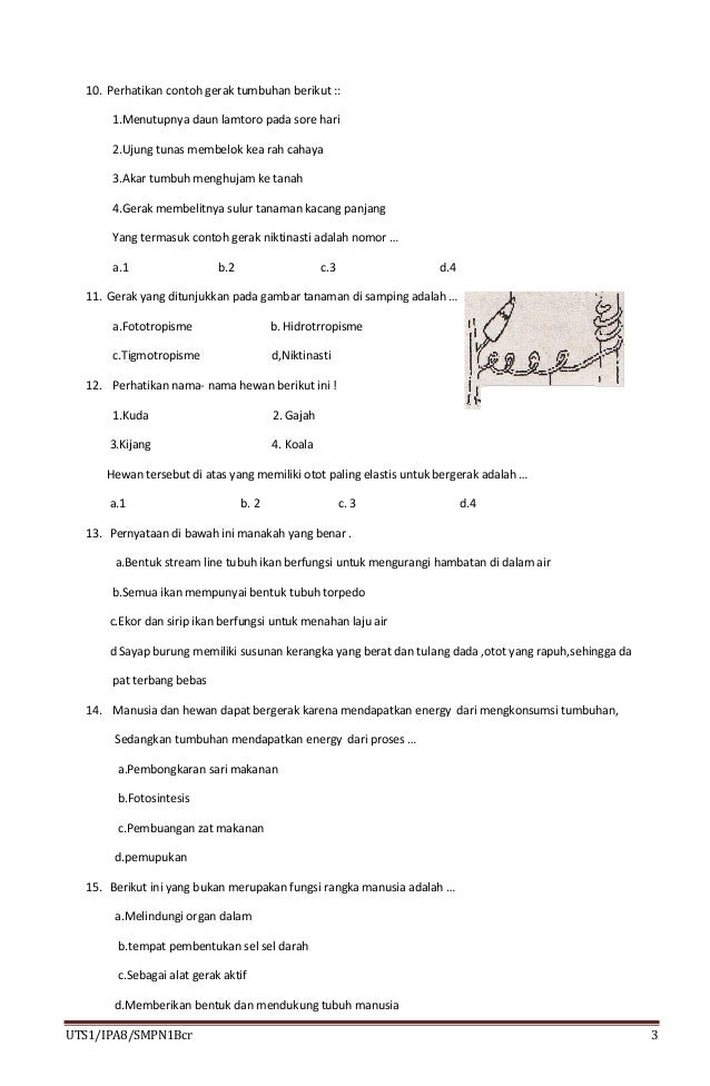 Soal UTS 1 IPA SMP Semester Ganjil kelas 8 Soal UTS 1 IPA SMP Semester Ganjil kelas 8