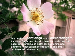 Tem que haver  confiança   e certa  camaradagem  :  às vezes fingir que não viu, fazer de conta que não escutou. É preciso se entender que união não significa necessariamente fusão. E que amar “solamente” não basta. 