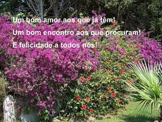 Um bom amor aos que já têm! Um bom encontro aos que procuram! E felicidade a todos nós! 