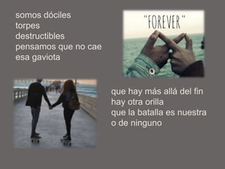 somos dóciles
torpes
destructibles
pensamos que no cae
esa gaviota
que hay más allá del fin
hay otra orilla
que la batalla es nuestra
o de ninguno