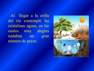 Al llegar a la orilla
del río contemplé las
cristalinas aguas, en las
cuales muy alegres
nadaban un gran
número de peces.
 