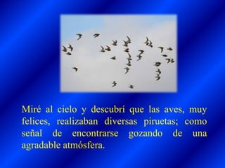 Miré al cielo y descubrí que las aves, muy
felices, realizaban diversas piruetas; como
señal de encontrarse gozando de una
agradable atmósfera.
 