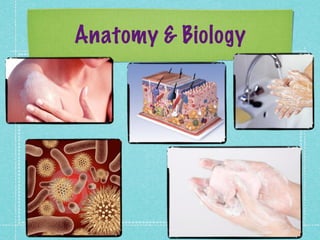 Anatomy & Biology
 