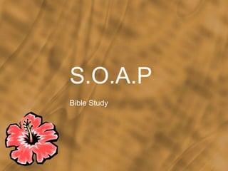 S.O.A.P Bible Study 