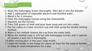 1. Wash the malunggay leaves thoroughly then put it into the blender.
2. Add 3 tablespoon of vegetable glycerin and distilled water.
3. Blend it for 5 minutes.
4. Filter the malunggay extract using the cheesecloth.
5. Squeeze out the extract.
6. Take 500 grams of melt and pour base soup and cut into cubes.
7. Put the cubes in a heat resistant cup and melt using the double boiling
method.
8. When it has melted remove the cup from the water bath.
9. While the melted soap is still hot add malunggay extract and 3 capsule
of vitamin e and mix it thoroughly.
10.After mixing pour it into your soap molds.
11.Keep the molds in the fridge for about an hour for the soap to harden
or keep at room temperature for a day.
Procedures
 