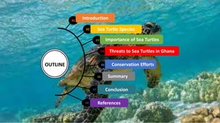 01
07
06
08
Introduction
OUTLINE
Sea Turtle Species
References
Conclusion
Importance of Sea Turtles
Threats to Sea Turtles in Ghana
Conservation Efforts
Summary
2
 