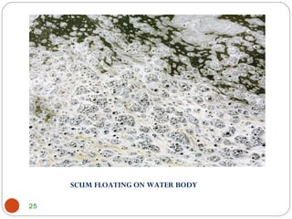 25
SCUM FLOATING ON WATER BODY
 