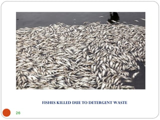 26
FISHES KILLED DUE TO DETERGENT WASTE
 