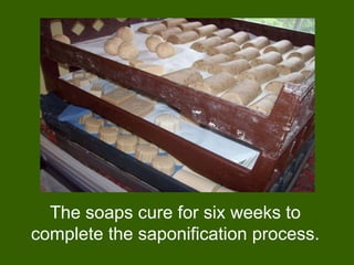 The soaps cure for six weeks to
complete the saponification process.
 
