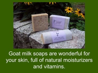 Goat milk soaps are wonderful for
your skin, full of natural moisturizers
            and vitamins.
 