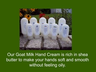 Our Goat Milk Hand Cream is rich in shea
butter to make your hands soft and smooth
            without feeling oily.
 