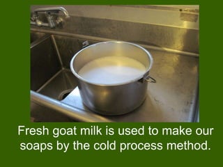 Fresh goat milk is used to make our
soaps by the cold process method.
 