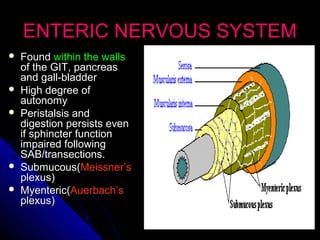 ENTERIC NERVOUS SYSTEMENTERIC NERVOUS SYSTEM
 FoundFound within the wallswithin the walls
of the GIT, pancreasof the GIT, pancreas
and gall-bladderand gall-bladder
 High degree ofHigh degree of
autonomyautonomy
 Peristalsis andPeristalsis and
digestion persists evendigestion persists even
if sphincter functionif sphincter function
impaired followingimpaired following
SAB/transections.SAB/transections.
 Submucous(Submucous(Meissner’sMeissner’s
plexus)plexus)
 Myenteric(Myenteric(Auerbach’sAuerbach’s
plexus)plexus)
 