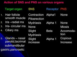 Target organTarget organ SNSSNS ReceptorReceptor PNSPNS
1.1. Hair follicleHair follicle
smooth musclesmooth muscle
2.2. Iris –radial msIris –radial ms
3.3. Iris- circular msIris- circular ms
4.4. Ciliary msCiliary ms
5.5. Glands – nasalGlands – nasal
parotid,lacrimalparotid,lacrimal
submandibularsubmandibular
gastric,pancraeticgastric,pancraetic
ContractionContraction
PiloerectionPiloerection
MydriasisMydriasis
NoneNone
SlightSlight
MydriasisMydriasis
SlightSlight
increaseincrease
Alpha1Alpha1
Alpha 1Alpha 1
BetaBeta
Alpha 1Alpha 1
NoneNone
NoneNone
MiosisMiosis
Accomoda-Accomoda-
tiontion
CopiousCopious
IncreaseIncrease
Action of SNS and PNS on various organsAction of SNS and PNS on various organs
 