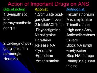 Action of Important Drugs on ANSAction of Important Drugs on ANS
Site of actionSite of action
1.Sympathetic1.Sympathetic
andand
parasympatheticparasympathetic
gangliaganglia
2.Endings of post2.Endings of post
ganglionic nonganglionic non
adrenergicadrenergic
NeuronsNeurons
AgonistAgonist
1.Stimulate post-1.Stimulate post-
ganglionganglion- nicotin- nicotin
2.2.InhibitACh’trsInhibitACh’trse-e-
PhysostigminePhysostigmine
NeostigmineNeostigmine
ParathionParathion
Release NARelease NA
-TyramineTyramine
-EphedrineEphedrine
-AmphetamineAmphetamine
AntagonistAntagonist
HexamethoniumHexamethonium
MecamylamineMecamylamine
TrimethaphanTrimethaphan
High conc.Ach,High conc.Ach,
AnticholinestrsesAnticholinestrses
CurareCurare
Block NA synthBlock NA synth
-metyrosine-metyrosine
Stop NA storageStop NA storage
-reserpine,guane-reserpine,guane
thidinethidine
 