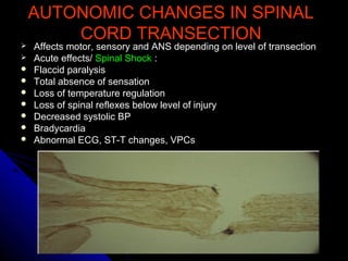 AUTONOMIC CHANGES IN SPINALAUTONOMIC CHANGES IN SPINAL
CORD TRANSECTIONCORD TRANSECTION
 Affects motor, sensory and ANS depending on level of transectionAffects motor, sensory and ANS depending on level of transection
 Acute effects/Acute effects/ Spinal ShockSpinal Shock ::
 Flaccid paralysisFlaccid paralysis
 Total absence of sensationTotal absence of sensation
 Loss of temperature regulationLoss of temperature regulation
 Loss of spinal reflexes below level of injuryLoss of spinal reflexes below level of injury
 Decreased systolic BPDecreased systolic BP
 BradycardiaBradycardia
 Abnormal ECG, ST-T changes, VPCsAbnormal ECG, ST-T changes, VPCs
 
