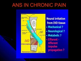 ANS IN CHRONIC PAINANS IN CHRONIC PAIN
 