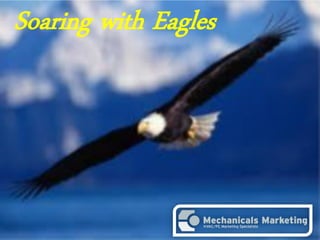 Soaring with Eagles




                      1
 