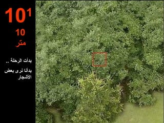 بد أت  الرحلة  .. بد أن ا ن رى  بعض الأشجار  10 1   10 متر 