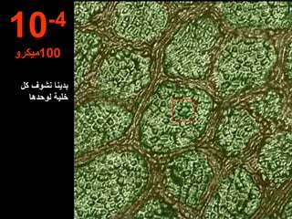 بدينا نشوف كل خلية لوحدها 10 -4 100 ميكرو 