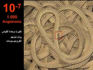 10 -7 1.000  Angstroms تغيرت وحدة القياس  بد أ نا نشاهد الكروموسوم ات   
