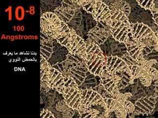 10 -8 100  Angstroms بدنا نشاهد ما يعرف بالحمض النووي DNA   