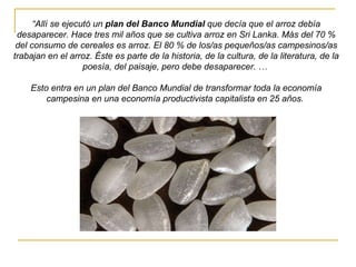 “ Allí se ejecutó un  plan del Banco Mundial  que decía que el arroz debía desaparecer. Hace tres mil años que se cultiva arroz en Sri Lanka. Más del 70 % del consumo de cereales es arroz. El 80 % de los/as pequeños/as campesinos/as trabajan en el arroz. Éste es parte de la historia, de la cultura, de la literatura, de la poesía, del paisaje, pero debe desaparecer. …  Esto entra en un plan del Banco Mundial de transformar toda la economía campesina en una economía productivista capitalista en 25 años.  