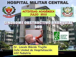 HOSPITAL MILITAR CENTRAL

        ACTIVIDAD ACADÉMICA
             JULIO 2012




  Dr. Lincoln Blácido Trujillo
  Jefe Unidad de Hospitalización
  A22 Pediatría
 