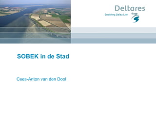 SOBEK in de Stad
Cees-Anton van den Dool
 