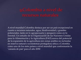 Colombia a nivel de
recursos naturales
A nivel mundial Colombia destaca por ser un país excepcional en
cuanto a recursos naturales, agua, biodiversidad y grandes
potenciales, tanto en lo agropecuario y pesquero como en lo
forestal. Un estudio de la Organización de las Naciones Unidas
para la Alimentación y la Agricultura (FAO) acerca del potencial
de la expansión de la agricultura (en zonas arables no incluidas
en reserva natural o ecosistemas protegidos) ubica a Colombia
como uno de los siete países a nivel mundial que conformarán la
‘canasta de pan’ para el año 2050
 