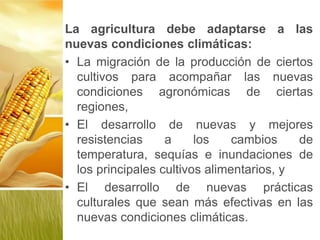 La agricultura debe adaptarse a las
nuevas condiciones climáticas:
• La migración de la producción de ciertos
cultivos para acompañar las nuevas
condiciones agronómicas de ciertas
regiones,
• El desarrollo de nuevas y mejores
resistencias a los cambios de
temperatura, sequías e inundaciones de
los principales cultivos alimentarios, y
• El desarrollo de nuevas prácticas
culturales que sean más efectivas en las
nuevas condiciones climáticas.
 