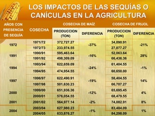 LOS IMPACTOS DE LAS SEQUÍAS O
CANÍCULAS EN LA AGRICULTURA
AÑOS CON
PRESENCIA
DE SEQUÍA
COSECHA
COSECHA DE MAÍZ COSECHA DE FRIJOL
PRODUCCION
(TON)
DIFERENCIA
PRODUCCION
(TON)
DIFERENCIA
1972
1971/72 372,727.27
-37%
34,090.91
-21%
1972/73 233,974.55 27,077.27
1991
1990/91 595,463.64
-16%
52,063.64
28%
1991/92 498,309.09 66,436.36
1994
1993/94 622,659.09
-24%
61,404.55
-1%
1994/95 474,954.55 60,650.00
1997
1996/97 622,490.91
-19%
58,404.55
14%
1997/98 501,630.23 66,707.27
2000
1999/00 651,936.36
-12%
65,695.45
4%
2000/01 576,054.55 68,479.55
2001 2001/02 564,977.14 -2% 74,082.91 8%
2004
2003/04 627,980.23
-1%
83,484.09
1%
2004/05 633,876.27 84,298.09
 
