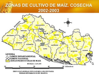 ZONAS DE CULTIVO DE MAÍZ. COSECHA
2002-2003
 