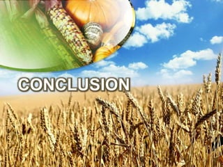 Soberania alimentaria