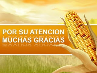 Soberania alimentaria