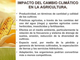 IMPACTO DEL CAMBIO CLIMÁTICO
EN LA AGRICULTURA.
• Productividad, en términos de cantidad y calidad
de los cultivos
• Prácticas agrícolas, a través de los cambios del
uso del agua (riego) y aportes agrícolas como
herbicidas, insecticidas y fertilizantes.
• Efectos en el medio ambiente, particularmente la
relación de la frecuencia y sistema de drenaje de
suelos, erosión, reducción de la diversidad de
cultivos.
• Espacio rural, por medio de la pérdida y
ganancia de terrenos cultivados, la especulación
de tierras y los servicios hidráulicos.
• Adaptación, los organismos podrían convertirse
más o menos competitivos.
 