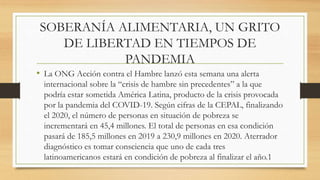 SOBERANÍA ALIMENTARIA, UN GRITO
DE LIBERTAD EN TIEMPOS DE
PANDEMIA
• La ONG Acción contra el Hambre lanzó esta semana una alerta
internacional sobre la “crisis de hambre sin precedentes” a la que
podría estar sometida América Latina, producto de la crisis provocada
por la pandemia del COVID-19. Según cifras de la CEPAL, finalizando
el 2020, el número de personas en situación de pobreza se
incrementará en 45,4 millones. El total de personas en esa condición
pasará de 185,5 millones en 2019 a 230,9 millones en 2020. Aterrador
diagnóstico es tomar consciencia que uno de cada tres
latinoamericanos estará en condición de pobreza al finalizar el año.1
 