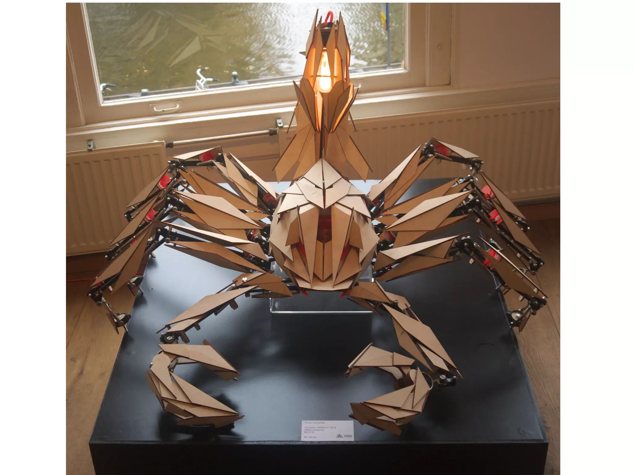 Skull left and right