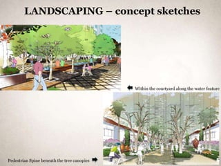 LANDSCAPING – concept sketches




                                             Within the courtyard along the water feature




                                                                                12
Pedestrian Spine beneath the tree canopies
 
