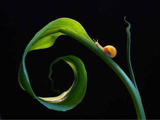 BAJO EL MAR Y SOBRE LA TIERRA