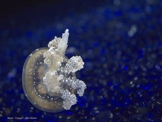 Music : Voyager - Alan Parson
 