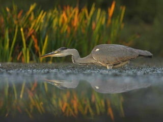 Sob o mar e sobre a terra