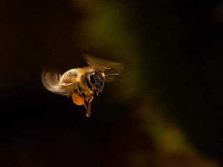 Sob o mar e sobre a terra