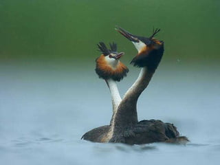 Sob o mar e sobre a terra