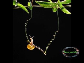 Sob o mar e sobre a terra