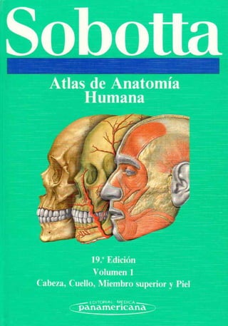 SobottaAtlas de Anatomía
Humana
 