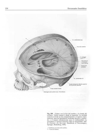 Sobotta atlas de anatomia humana volumen 1