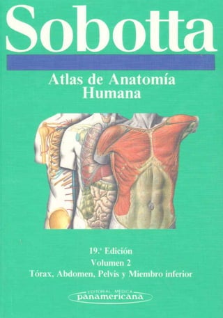 SobotlaAtlas de Anatomía
Humana
19/ Edición
Volum en 2
T órax, A bdom en, Pelvis y M iem bro inferior
_ - I OlTOBIAI M{ Olt,*__
o a n a m c ríc a n ^
 